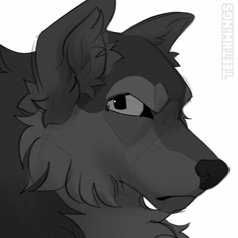sketch - $20
